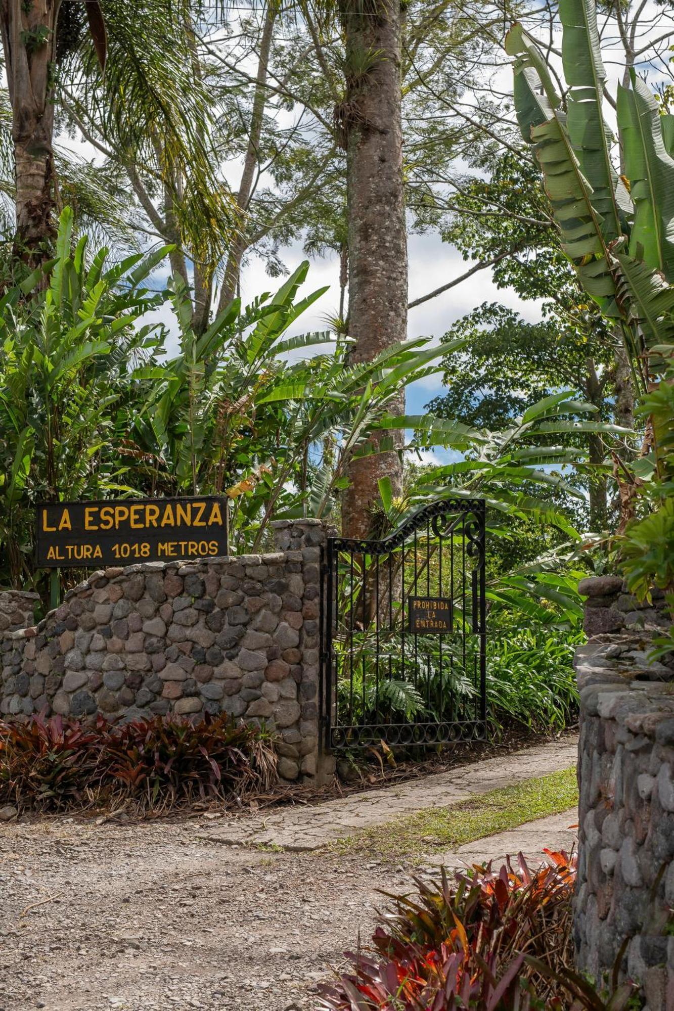 לינה וארוחת בוקר טוריאלבה Aquiares Coffee Farm Casa Hacienda La Esperanza מראה חיצוני תמונה